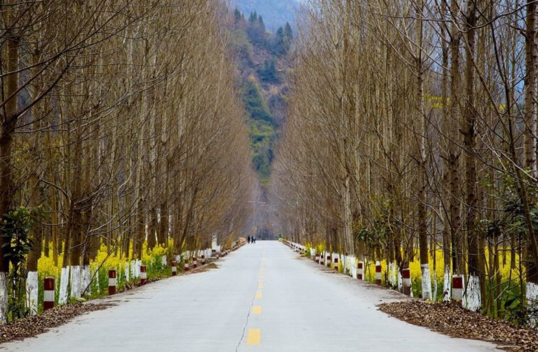 平武县土城乡至泗洱乡通乡公路灾后新建工程一期工程3.jpg